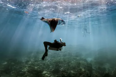 Diving - 2 days 