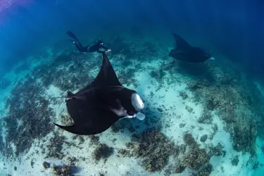 Diving - 4 days + 3 nights