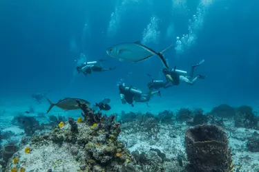 Diving 3 days + 2 nights